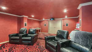 Theater room