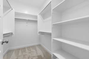 Spacious closet featuring light carpet