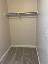 Spacious closet featuring carpet