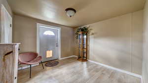 Foyer featuring light wood-type flooring