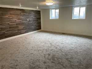 Carpeted empty room with wood walls, a wealth of natural light, and a textured ceiling