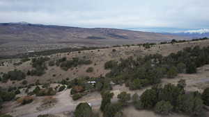 Looking across the property boundary to the West