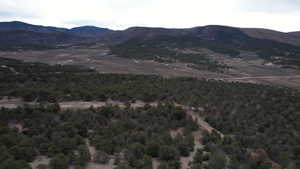 View to the East