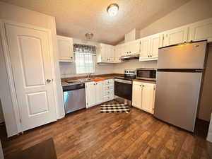 Kitchen featuring lofted ceiling, dark hardwood / wood-style flooring, white cabinetry, and stainless steel appliances