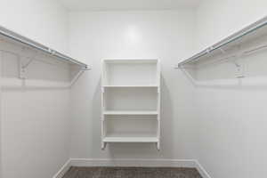 Primary Walk in closet with carpet