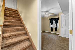 Basement stairway with view for bedroom 4 ceiling fan and dark carpet