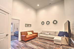 Living room featuring high vaulted ceiling and dark wood-type flooring