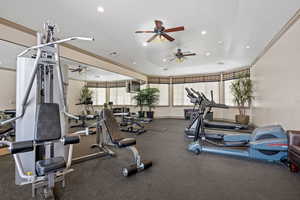 Gym with a healthy amount of sunlight, a raised ceiling, and ceiling fan