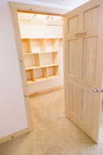 Basement bedroom walk-in closet