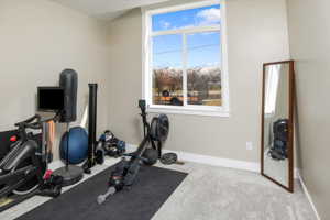 Exercise area with light carpet