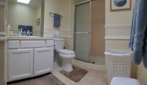 1st Bathroom is the Primary Bedroom on Suite,  with a large walk in shower, toilet, vanity, skylight