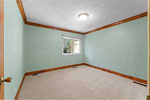 Spare room featuring a textured ceiling, crown molding, and carpet