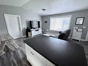 Living room with lofted ceiling, dark wood-type flooring, and a textured ceiling