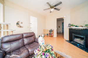 Living room with light wood-style floors, a fireplace, and ceiling fan