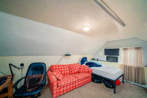 Carpeted bedroom featuring vaulted ceiling