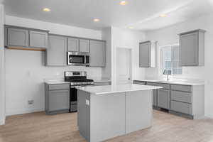 Kitchen featuring appliances with stainless steel finishes, sink, gray cabinets, light wood-type flooring, and a center island