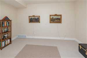 Miscellaneous room with light carpet