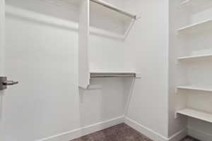 Spacious closet featuring dark colored carpet