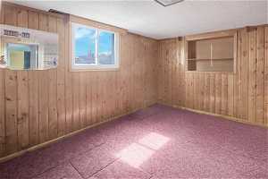 Basement with carpet floors and wood walls
