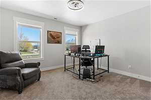Carpeted bedroom/office with a wealth of natural light
