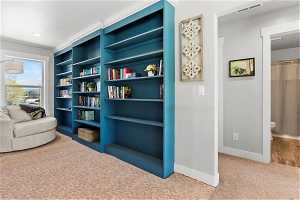 Library/loft area featuring light carpet and built in shelves