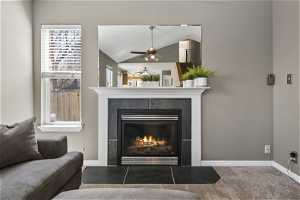 Living room featuring fire place