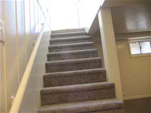 Stairs with carpet