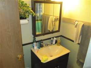 Basement Bathroom featuring vanity