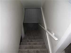 Stairs with dark carpet