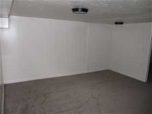 Basement with carpet and a textured ceiling