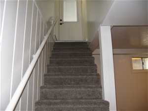 Staircase with carpet flooring