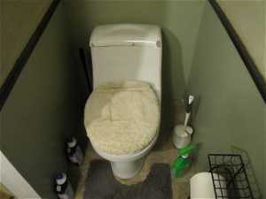 basement toilet