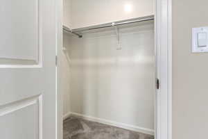 Spacious closet with carpet flooring