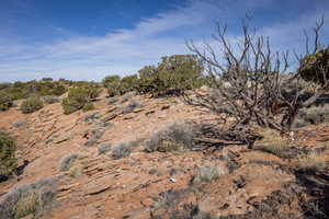 Photo 24 of 117  FLAT IRON MESA RD