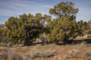 Photo 28 of 117  FLAT IRON MESA RD