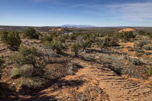 Photo 25 of 117  FLAT IRON MESA RD