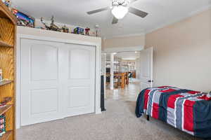 Bedroom with ceiling fan, crown molding, a closet, and light carpet