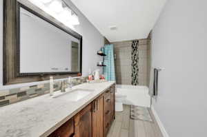 Basement Bathroom