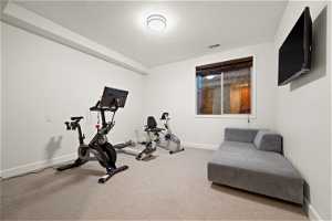 WORKOUT ROOM/ADDITIONAL BEDROOM ON LOWER LEVEL.
