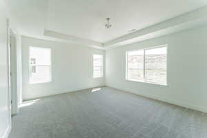 Carpeted spare room with a tray ceiling