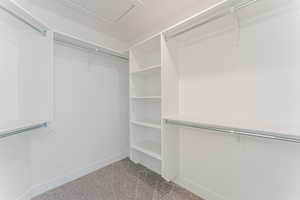 Spacious closet with carpet