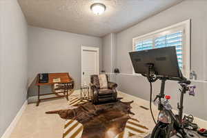 Exercise room featuring a textured ceiling and light colored carpet