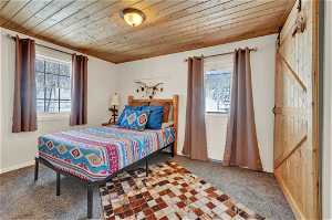 Carpeted bedroom with multiple windows, a barn door, and wood ceiling