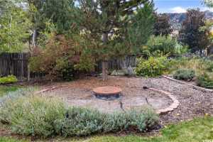added soil and bark and Fully Fenced, Backyard Fire pit ring from the RUBY Pipeline.