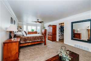Carpeted bedroom featuring ornamental molding, a walk in closet, and ceiling fan