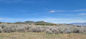 Photo 4 of 10800  IVORY TOOTH TRAIL TRL