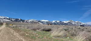 Photo 6 of 10800  IVORY TOOTH TRAIL TRL