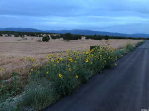 Property looking Southeast