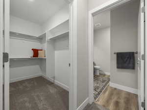 Spacious closet featuring dark hardwood / wood-style floors