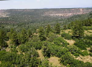 Photo 10 of 205  BEAVER CREEK OVERLOOK